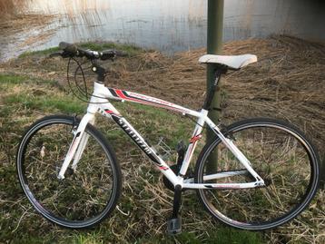 Koersfiets – sportfiets Stellizio Model fantasy als nieuw ! beschikbaar voor biedingen