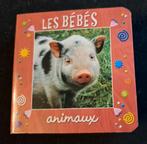 Livre cartonné pour bébé,  NEUF, Enlèvement, Neuf
