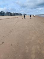 Vacances: Appartement neuf digue de mer Coxyde, 50 m² ou plus, Province de Flandre-Occidentale