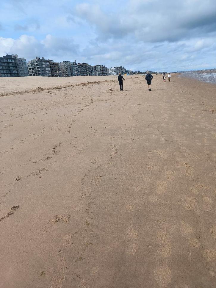 Feestdagen: Nieuw appartement met zeedijk in Koksijde, Immo, Appartementen en Studio's te huur, Provincie West-Vlaanderen, 50 m² of meer