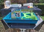 Hamsterkooi Savic met  hamsterspeelgoed en pak hamsterkatoen, Kooi, Zo goed als nieuw, Hamster, 75 tot 110 cm