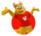 4 x Walibi tickets Waver, Drie personen of meer, Ticket of Toegangskaart