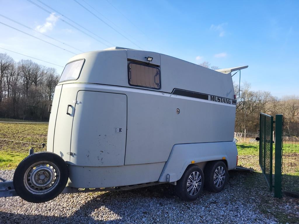 Le confort du Van Mustang ! À louer ou á vendre !, Dieren en Toebehoren, Paarden en Pony's | Trailers en Aanhangwagens, Polyester