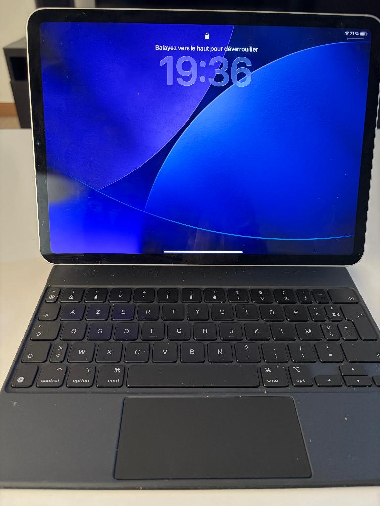 iPad Pro 11 pouces 4éme génération, 11 pouces, Comme neuf, Enlèvement, Wi-Fi et Web mobile