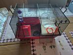 Cage hamster à donner, Enlèvement, Cage, Hamster