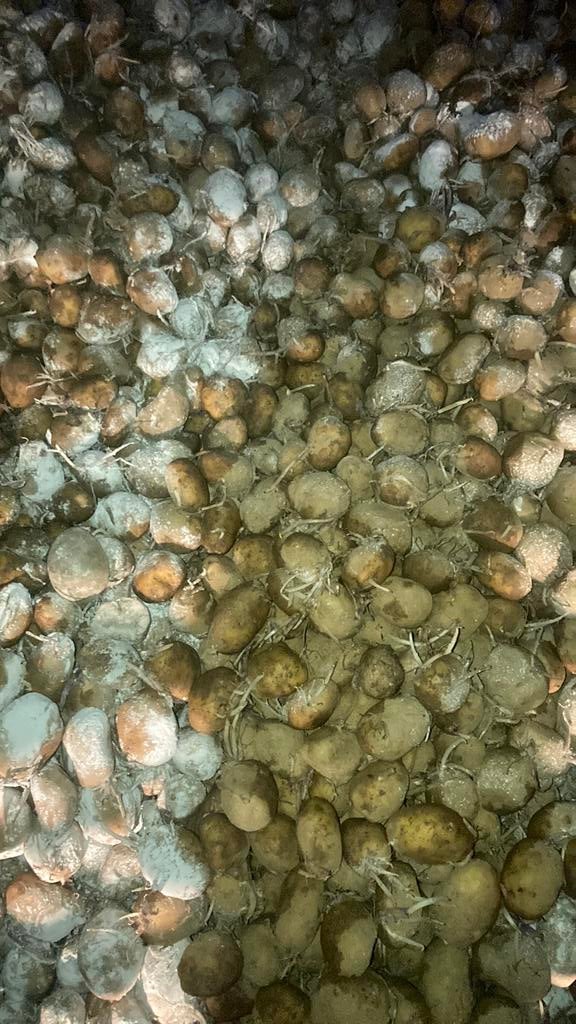 Planteurs et potiers pour pommes de terre, Enlèvement