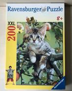 Puzzel XXL 200 stukken  : kat / kitten / poesje, Enlèvement ou Envoi