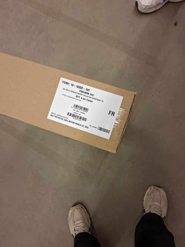 Ascended heroes poster collection case FRANS, Ophalen of Verzenden