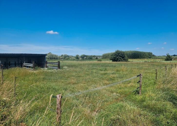 Weiland, Immo, Terrains & Terrains à bâtir, 1500 m² ou plus, Ventes sans courtier