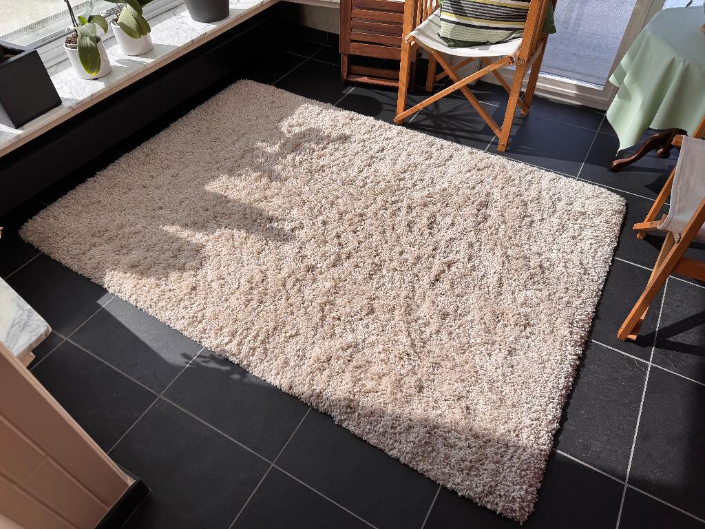 hoogpolig Tapijt, Ophalen, Zo goed als nieuw, Beige