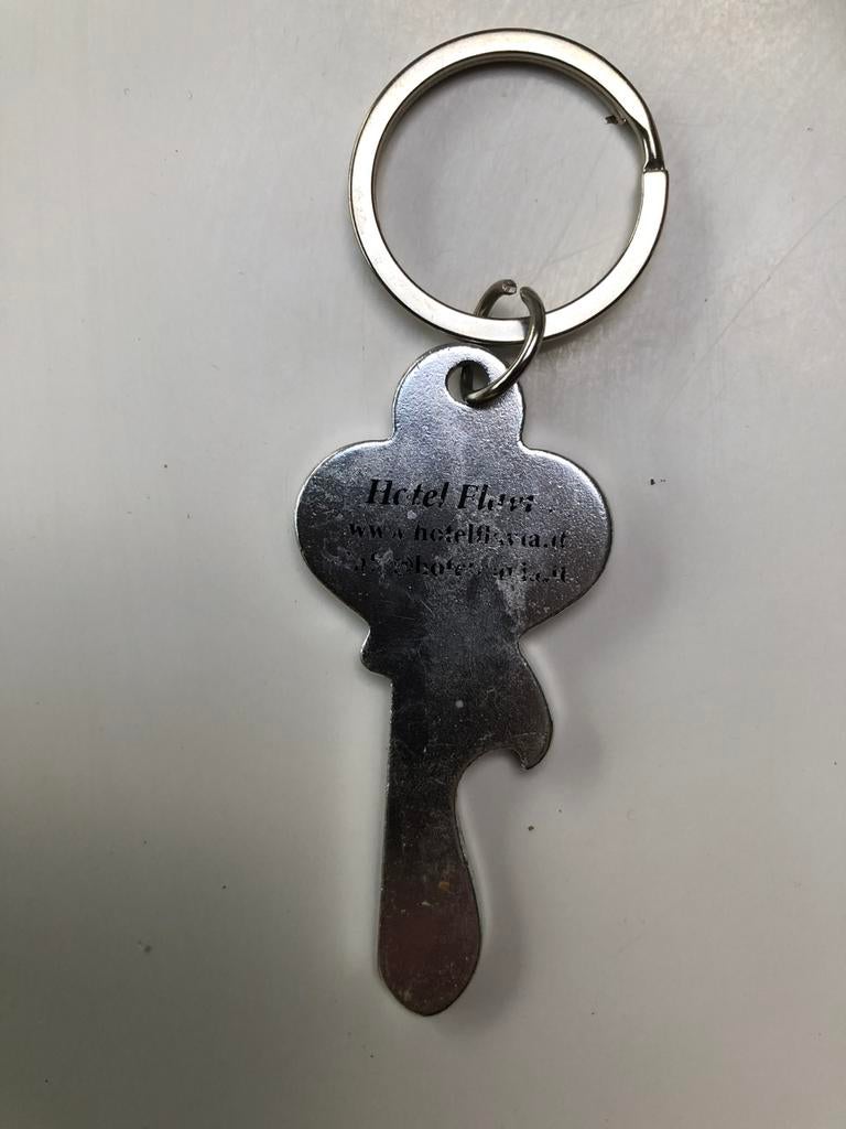 Metalen Sleutelhanger, Enlèvement ou Envoi, Utilisé, Marque