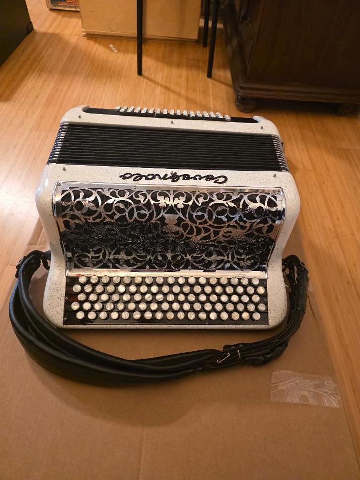 Cavagnolo professioneel knopaccordeon 120 bas met koffer, Musique & Instruments, Accordéons, Utilisé, Accordéon à boutons, 120 basses