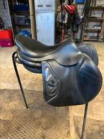 Zwarte cwd 2Gs te koop, Dieren en Toebehoren, Ophalen, Zo goed als nieuw, Springen