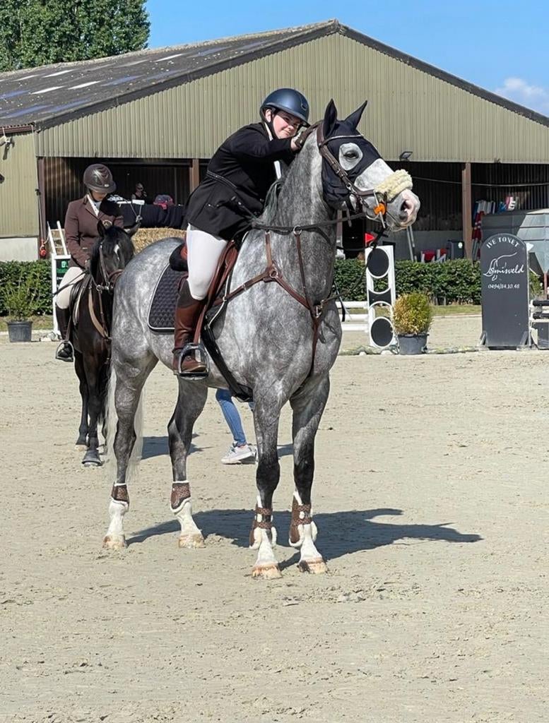 Fenwick masker te koop, Dieren en Toebehoren, L