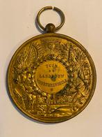 Oude medaille, Ophalen of Verzenden