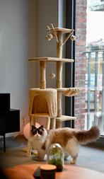 KRABPAAL NIEUW, Ophalen, Nieuw, Krabpaal