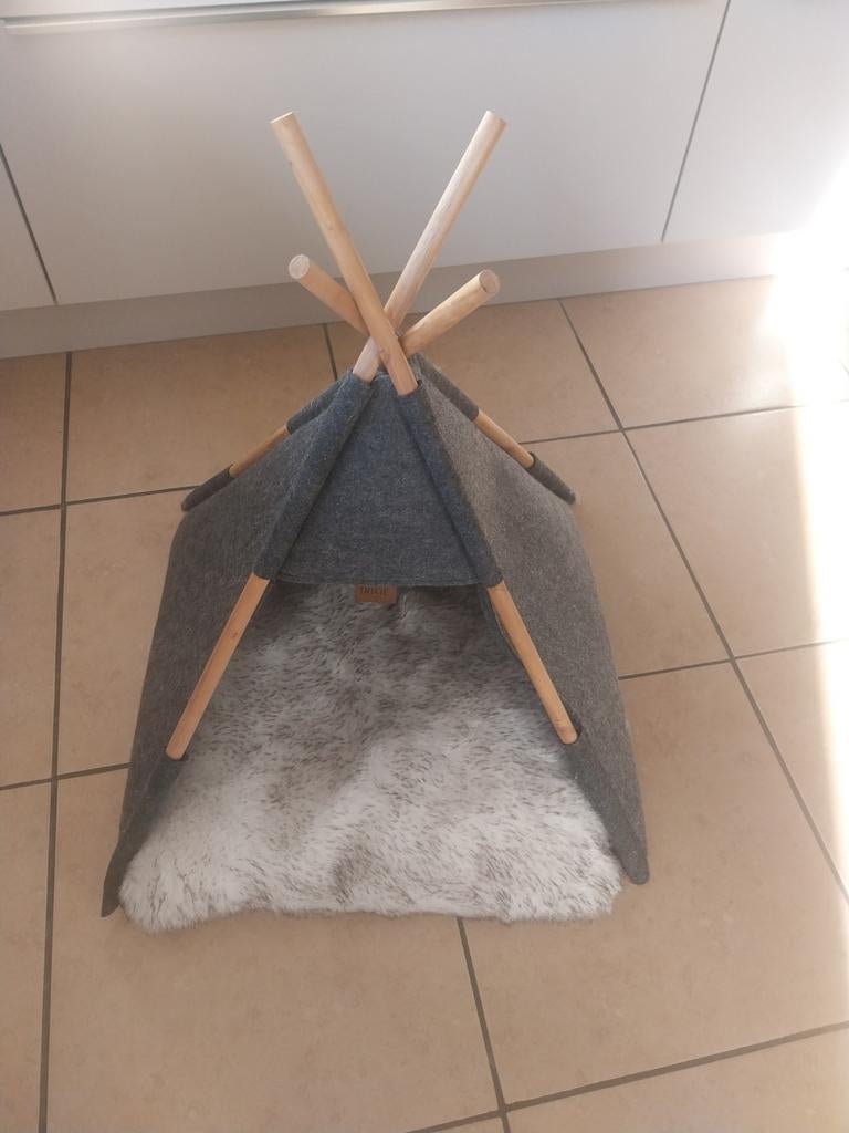 Katten slaaptent, Enlèvement