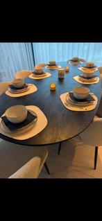 eettafel + 8 stoelen, Huis en Inrichting, Tafels | Eettafels, 100 tot 150 cm, 200 cm of meer, Ophalen of Verzenden, Zo goed als nieuw