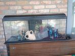 Aquarium complet +200 litres, Enlèvement, Chauffage, Utilisé, Aquarium vide