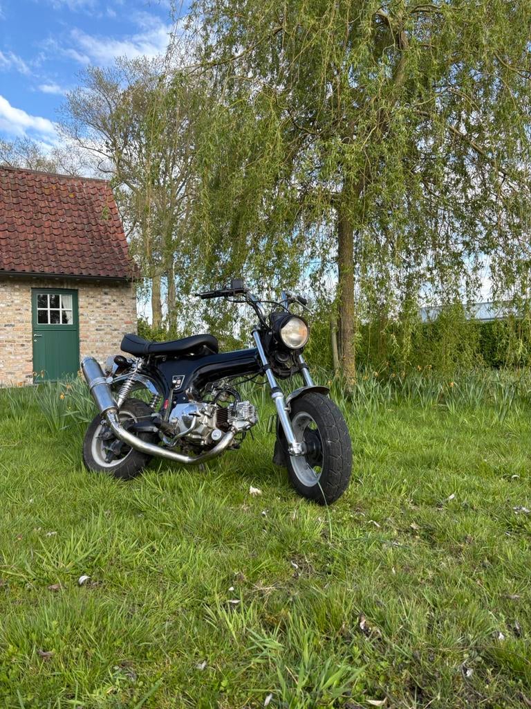 Dax 50cc, Fietsen en Brommers, Brommers | Honda, Ophalen, Gebruikt, Overige modellen, Klasse B (45 km/u)