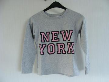 Sweat pull gris, taille 9/10 ans,