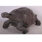 Galapagos Tortoise – Schildpad beeld Lengte 154 cm, Verzamelen, Nieuw, Ophalen of Verzenden