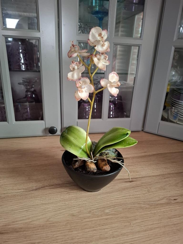 fleurs artificielles tulipes blanches, orchidée, arum  etc, Ophalen of Verzenden, Nieuw