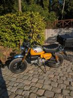 Honda Monkey 125cc, Entreprise, 125 cm³, Autre, 1 cylindre