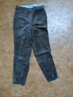 Rijbroek fluweel/winter, Ophalen, Overige soorten, Zo goed als nieuw, Dames