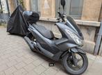 Honda PCX 125 ( motoscooter), Scooter, Particulier, 125 cc, 11 kW of minder