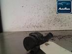 WATERPOMP Renault Laguna II (BG) (|8200285950|), Auto-onderdelen, Gebruikt, Renault