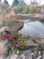 vijver, Tuin en Terras, Vijvers, Ophalen, Gebruikt