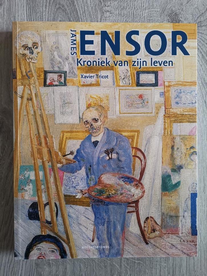 James Ensor - kroniek van zijn leven, Livres, Art & Culture | Arts plastiques, Comme neuf, Peinture et dessin, Enlèvement ou Envoi