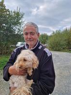 Zoek een vriendin, Contacten en Berichten