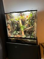 Paludarium exo terra 90x45x90, Dieren en Toebehoren, Reptielen en Amfibieën | Toebehoren, Ophalen, Zo goed als nieuw, Verlichting