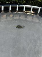 Gratis trampoline, Kinderen en Baby's, Speelgoed | Buiten | Trampolines, Ophalen of Verzenden