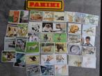 AUTOCOLLANTS PANINI  ANIMAUX ANIMAUX 37X, Enlèvement ou Envoi