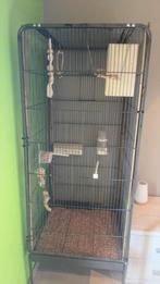 Cage pour oiseaux, Animaux & Accessoires, Enlèvement