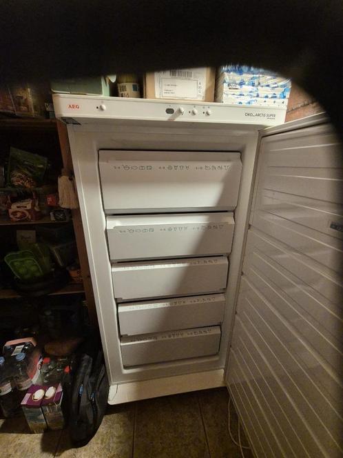 AEG Diepvriezer 130 x 65cm - 5 compartimenten, Elektronische apparatuur, Vriezers en Diepvrieskisten, Gebruikt, Vrijstaand, Vrieskast