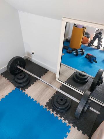 Barbell + schijven, Sport en Fitness, Zo goed als nieuw, Dumbbell