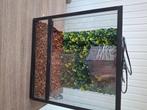 Terrarium voor klein reptielen, Dieren en Toebehoren, Reptielen en Amfibieën | Toebehoren, Ophalen, Zo goed als nieuw, Terrarium of Paludarium
