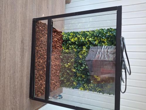 Terrarium voor klein reptielen, Dieren en Toebehoren, Reptielen en Amfibieën | Toebehoren, Zo goed als nieuw, Terrarium of Paludarium