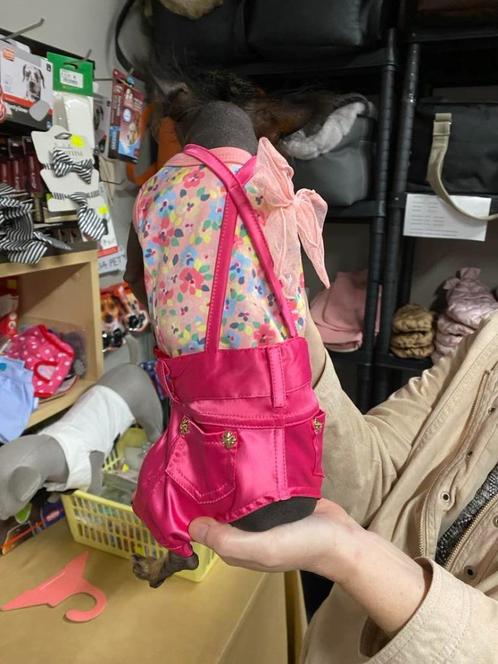 Super cute broekjes van het boetiekmerk Wooflink., Dieren en Toebehoren, Hondenkleding, Nieuw, Hondenbroek, Ophalen of Verzenden