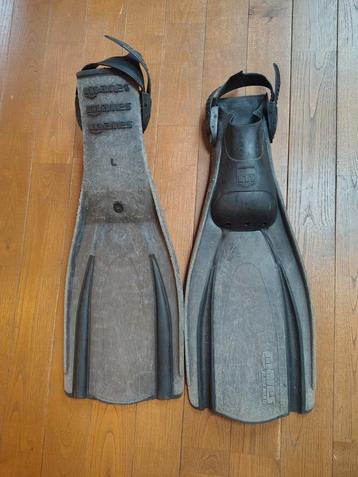 Mares Grote vinnen beschikbaar voor biedingen