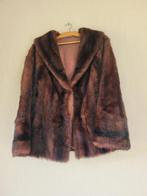 Veste VISON, Vêtements | Femmes, Vestes | Hiver, Enlèvement, Comme neuf, Brun