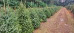 Kerstbomen, Diversen, Ophalen of Verzenden, Nieuw