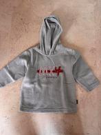 Pull met kap - hoodie maat 98, Kinderen en Baby's, Ophalen of Verzenden, Gebruikt, Maat 98