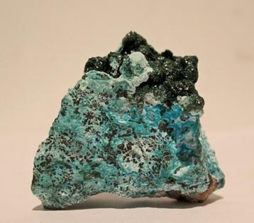 MALACHITE avec CHRYSOCOLLA du Congo, Enlèvement ou Envoi, Minéral