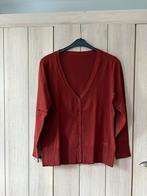 Bruine gilet, Bruin, Maat 46/48 (XL) of groter, Gedragen, Liberty island