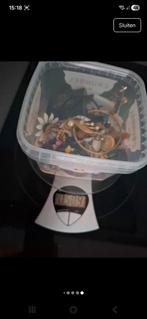 Boîte de bijoux fantaisie de 500 grammes